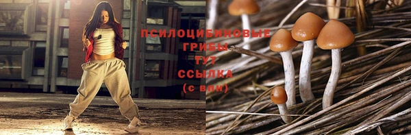 герыч Елабуга